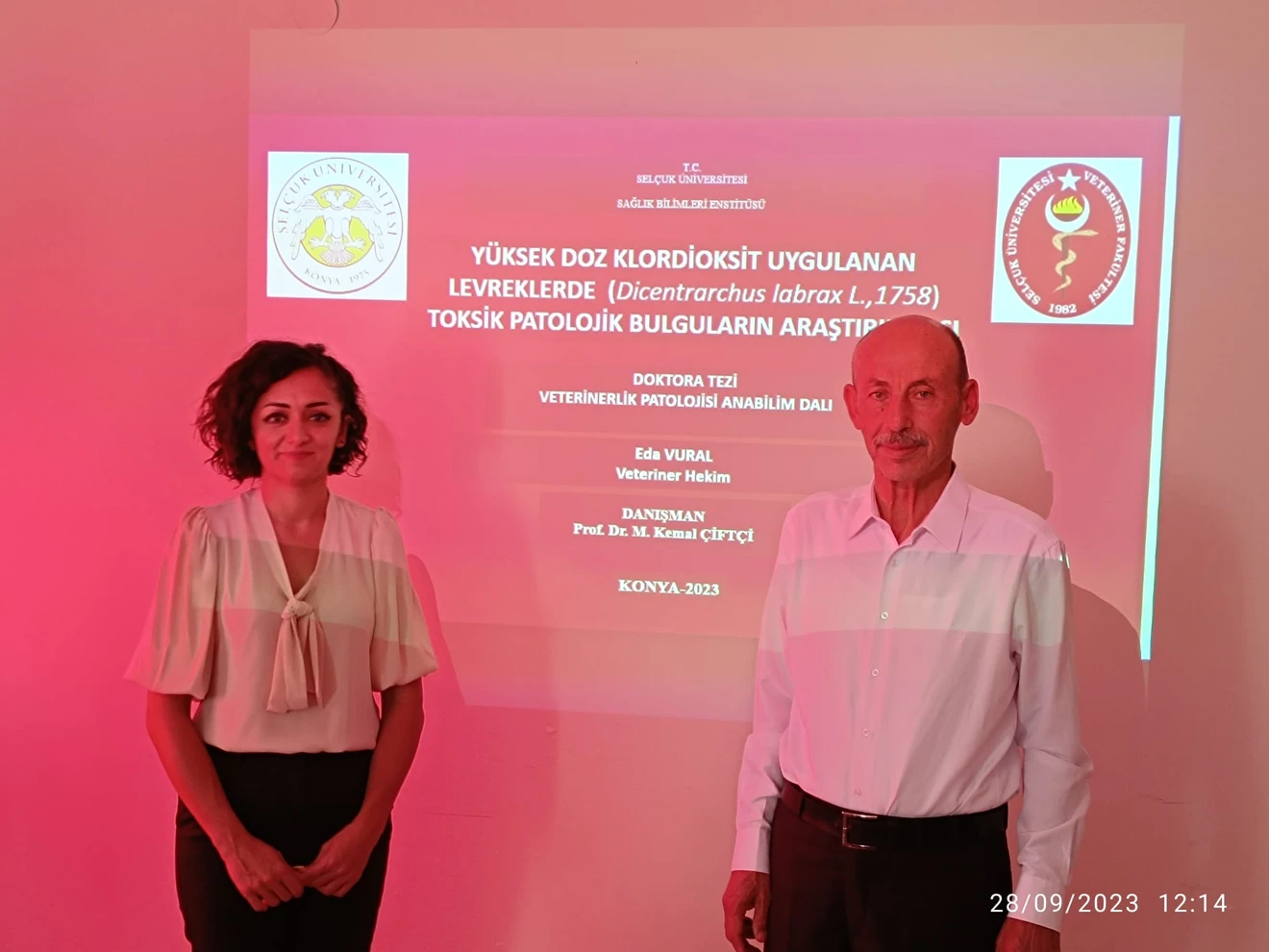 Doktora Tez Savunma Sınavı